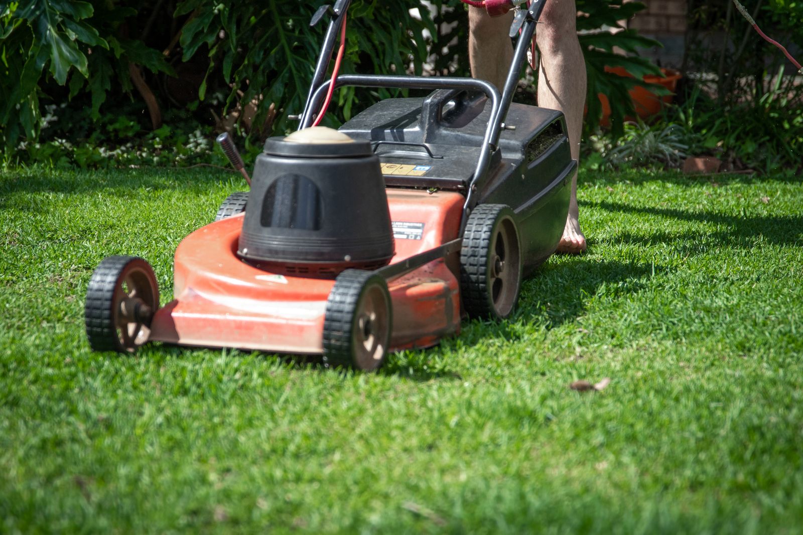 Lawn Mowing